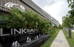 Link@amk (D20), Factory #559281431